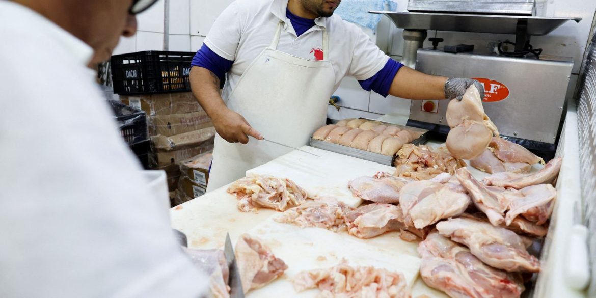 gripe-aviaria:-16-paises-suspendem-restricao-a-carne-brasileira 