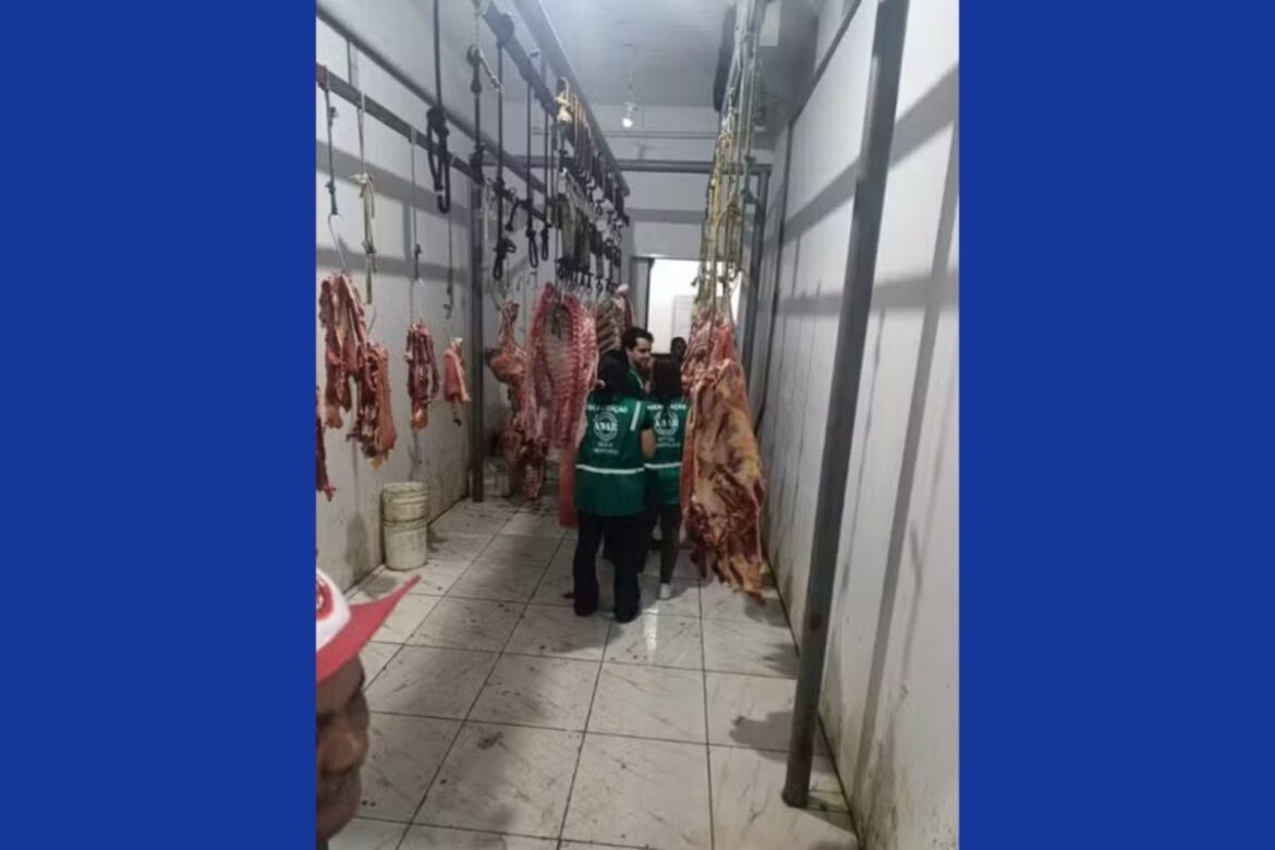 equipe-sanitaria-encontra-e-destroi-100-quilos-de-carne-infectada-com-tuberculose-bovina-em-ibicarai