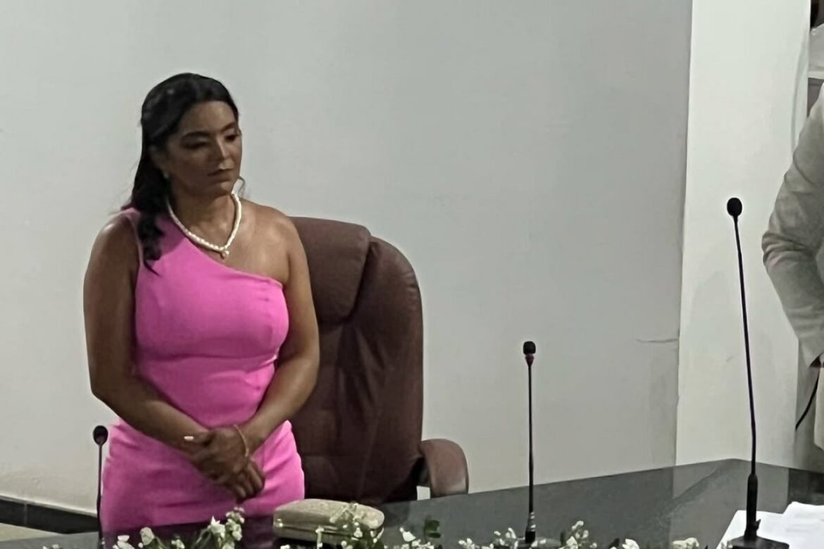 vereadora-de-araci-na-regiao-sisaleira-admite-ter-dirigido-sem-habilitacao-durante-sessao-na-camara