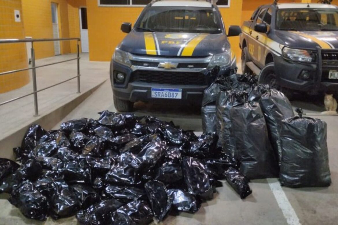 prf-apreende-mais-de-100-kg-de-maconha-em-simoes-filho