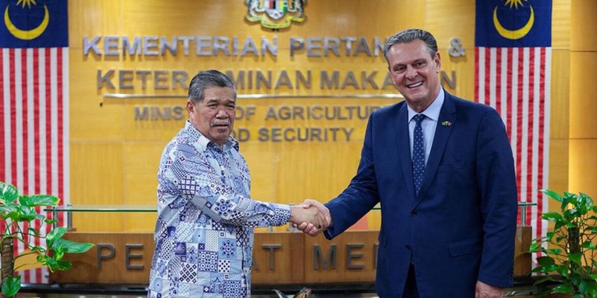 brasil-retoma-exportacoes-de-carne-de-frango-para-a-malasia