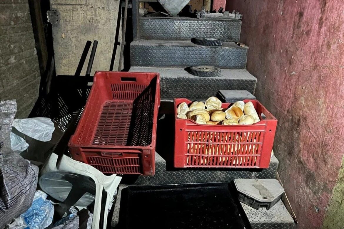 padarias-sao-interditadas-em-cidade-baiana-apos-apreensao-de-paes-e-outros-produtos-vencidos