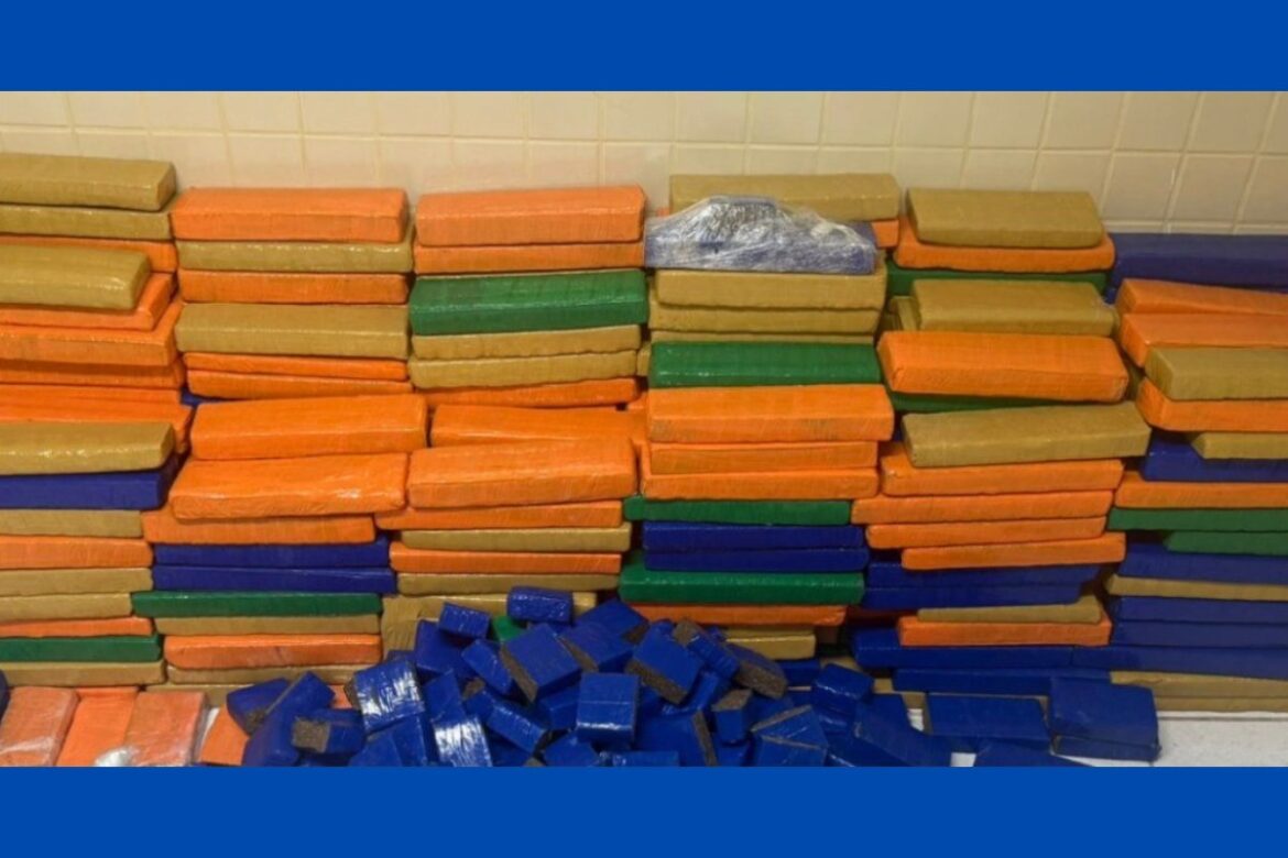 policia-militar-apreende-quase-1-tonelada-de-maconha-em-simoes-filho