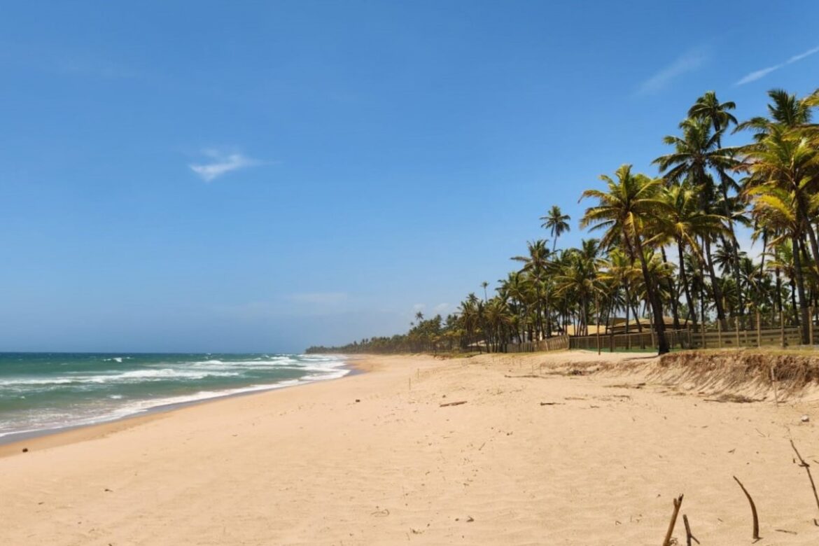 busca-vida-reforca-acoes-de-prevencao-e-cuidados-ambientais-para-a-chegada-do-verao!
