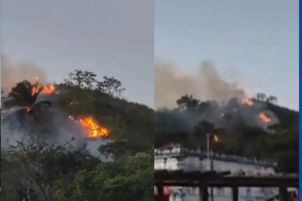 video:-incendio-atinge-terreno-proximo-a-cemiterio-no-reconcavo-baiano