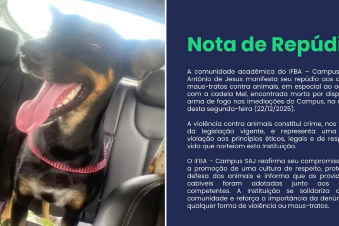 cadela-adotada-por-alunos-do-ifba-e-morta-a-tiros;-instituicao-diz-que-o-animal-nao-e-a-primeira-vitima-de-violencia-no-instituto