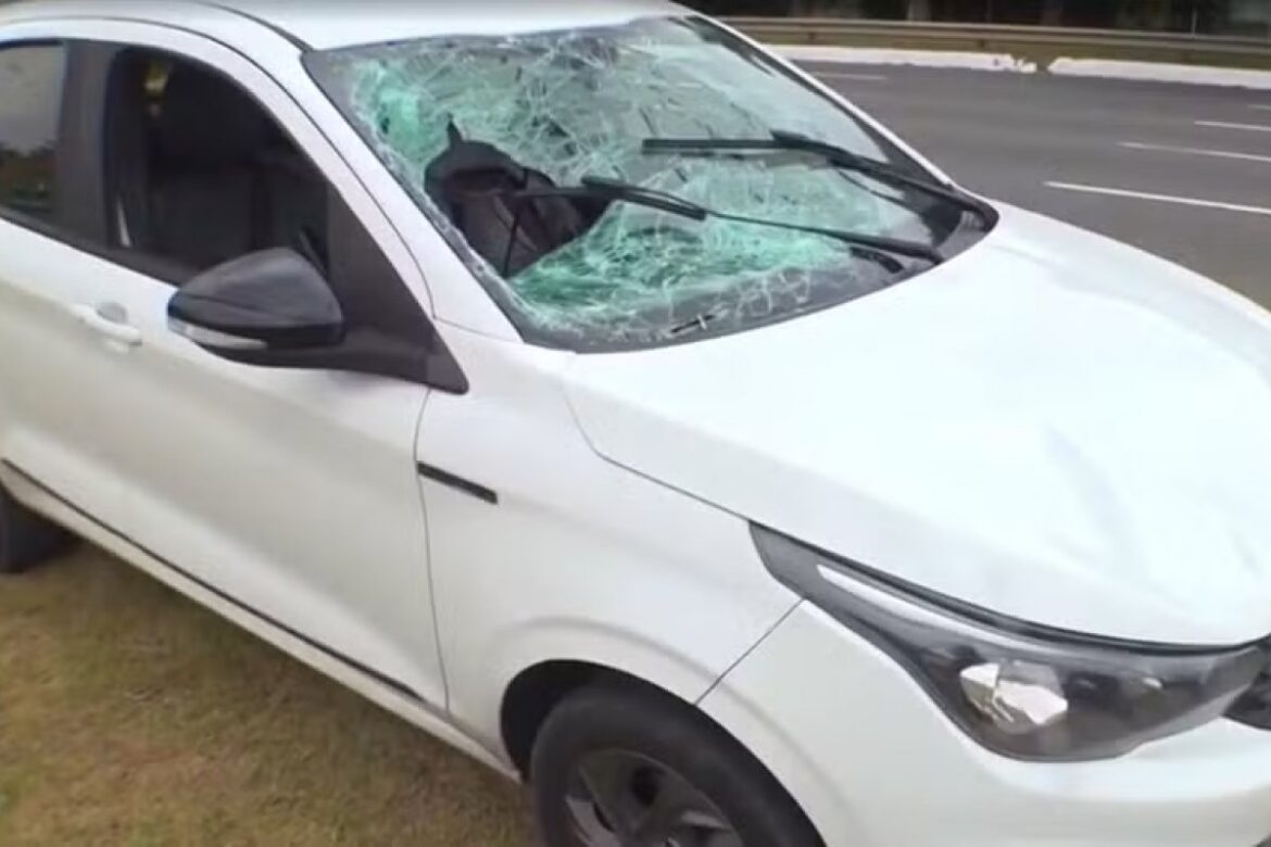 gari-e-atropelado-enquanto-trabalhava-em-canteiro-na-paralela