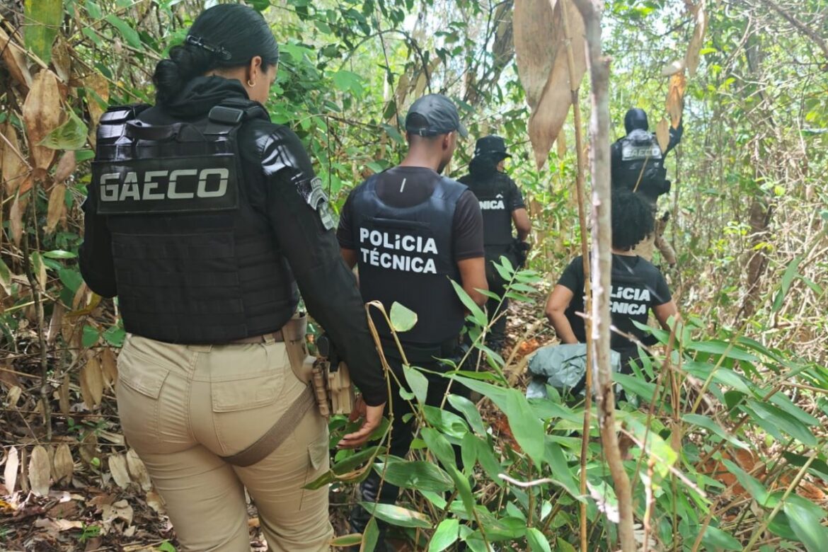 cemiterio-clandestino-do-crime-e-encontrado-no-sul-da-bahia