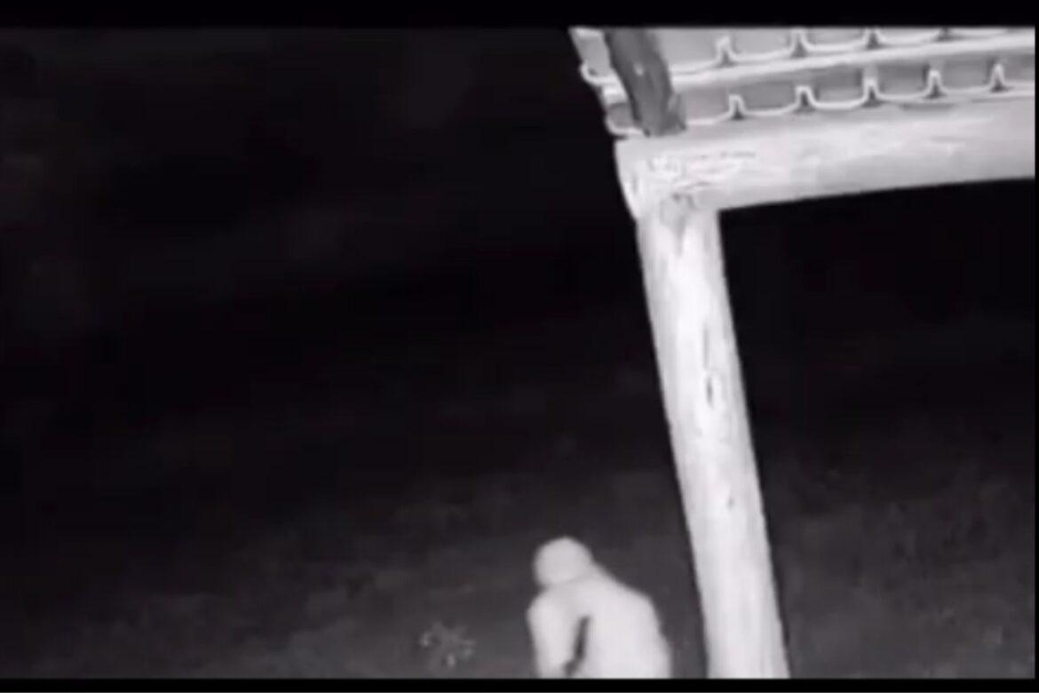 video:-grupo-armado-invade-fazenda-no-extremo-sul-baiano