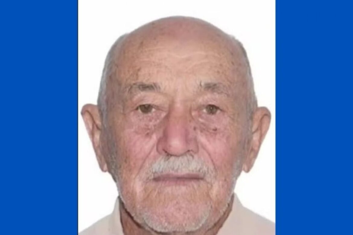 idoso-de-86-anos-morre-apos-sofrer-ataque-de-abelhas-na-bahia